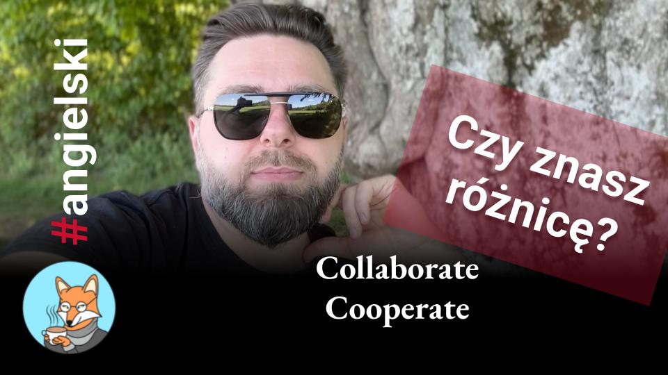 Cooperate VS Collaborate (Poradnia Językowa)